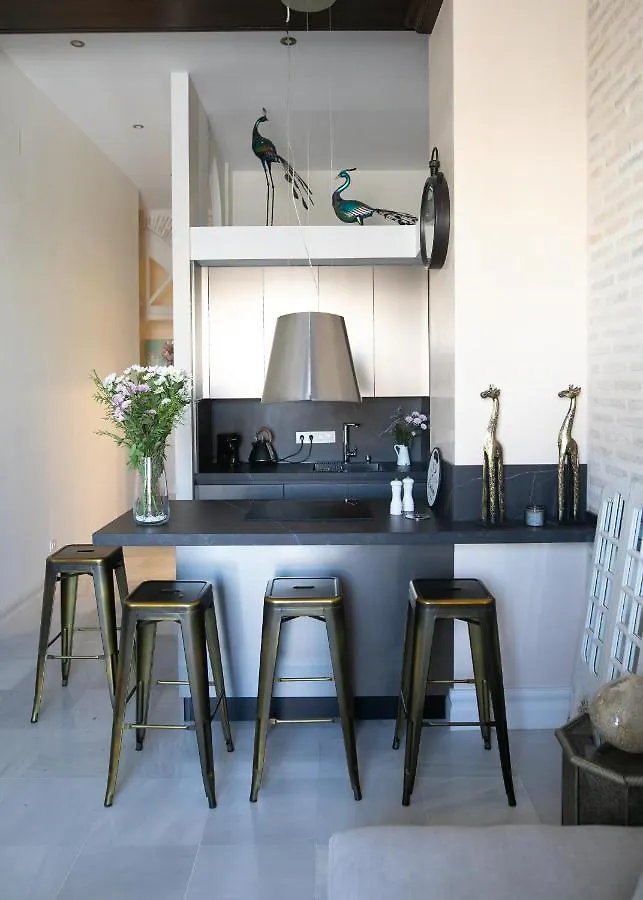 Apartamento innCádizPalacio Conde Casa-Brunet